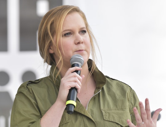 Amy Schumer's son Gene joined her at a recent protest.