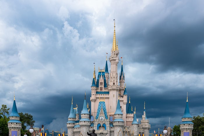 Disney World employees hope to delay the reopening due to COVID-19 concerns.