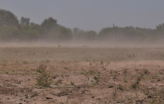 A Saharan dust cloud will make its way to the United States this weekend, but experts are assuring i...