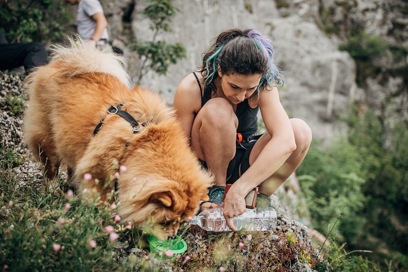 A person feeds her dog on a hiking trail. Hiking is a workout you can do with your dog.