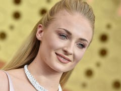 Sophie Turner's reason for protecting police brutality is all about changing the system.