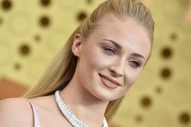 Sophie Turner's reason for protecting police brutality is all about changing the system.