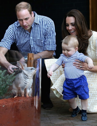 Prince George is all about that bilby in 2014.