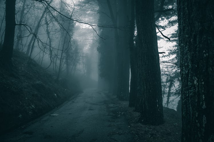 Netflix's 'Unsolved Mysteries' will have a ghost episode soon.