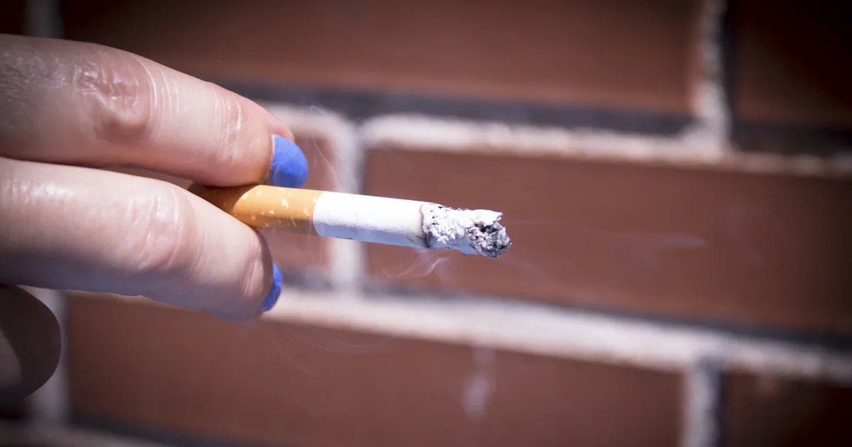 what is cigarette smoke made of Common used Chemicals in cigarettes But we still smoke what is cigarette smoke made of Common used Chemicals in cigarettes But we still smoke