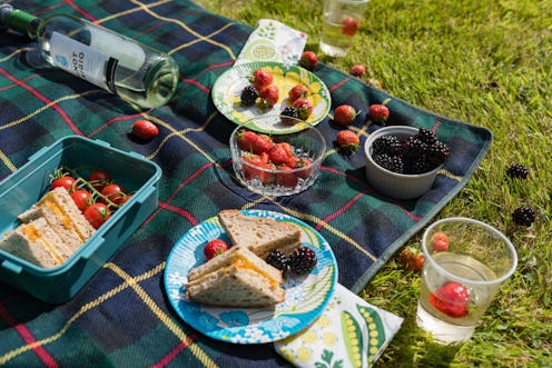A summer picnic on a tartan blanket. How To Avoid Food Poisoning At Outdoor Barbecues & Picnics, Acc...