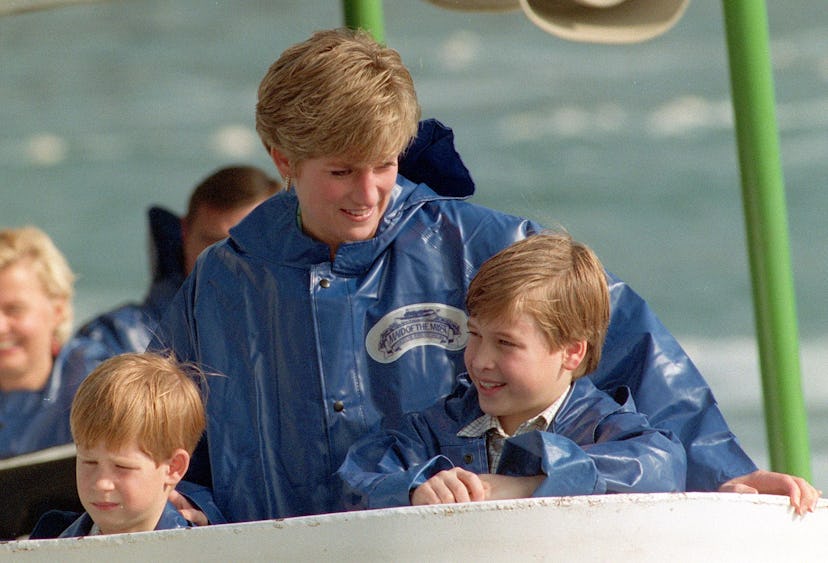 Princess Diana got wet with her kids at Niagara Falls.