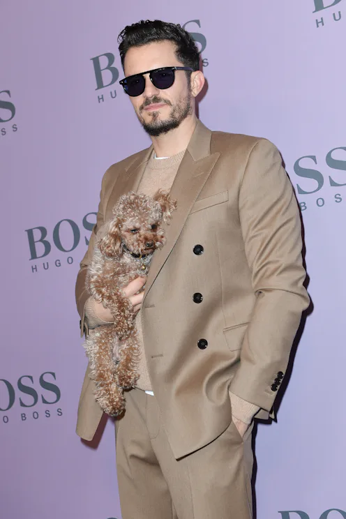 Orlando Bloom missing dog update