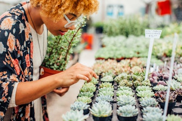 A young woman picks out a small succulent from a stand at the store.