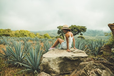 A young woman sits on a rock in the middle of a desert filled with succulents.