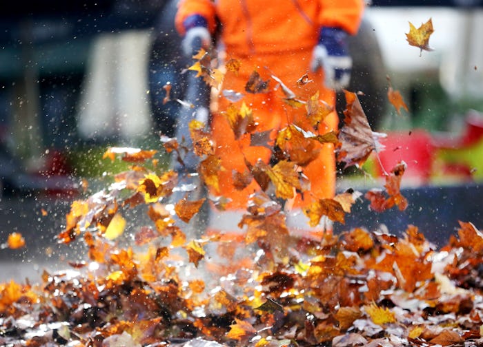 In response to federal officers' frequent use of tear gas against demonstrators, dads have joined "W...
