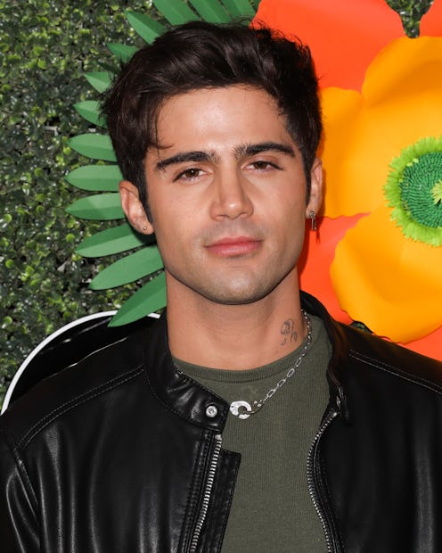 Demi Lovato's fiancé Max Ehrich