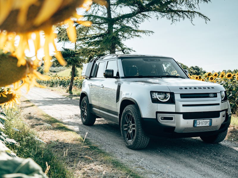 A Jaguar Defender can be seen parked by a pine tree. In the distance, there is a field of sunflowers...