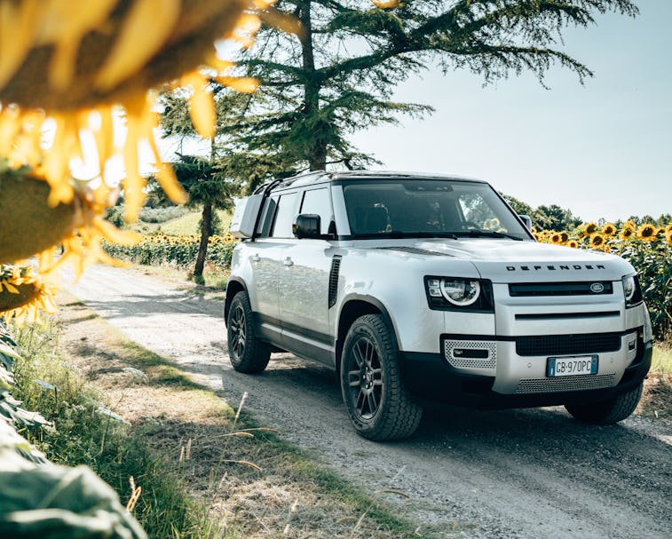 A Jaguar Defender can be seen parked by a pine tree. In the distance, there is a field of sunflowers...