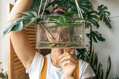 A woman holds up her plant in front of her face at home with her other plants behind her. 