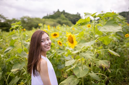 woman, flowers, field, sunflower