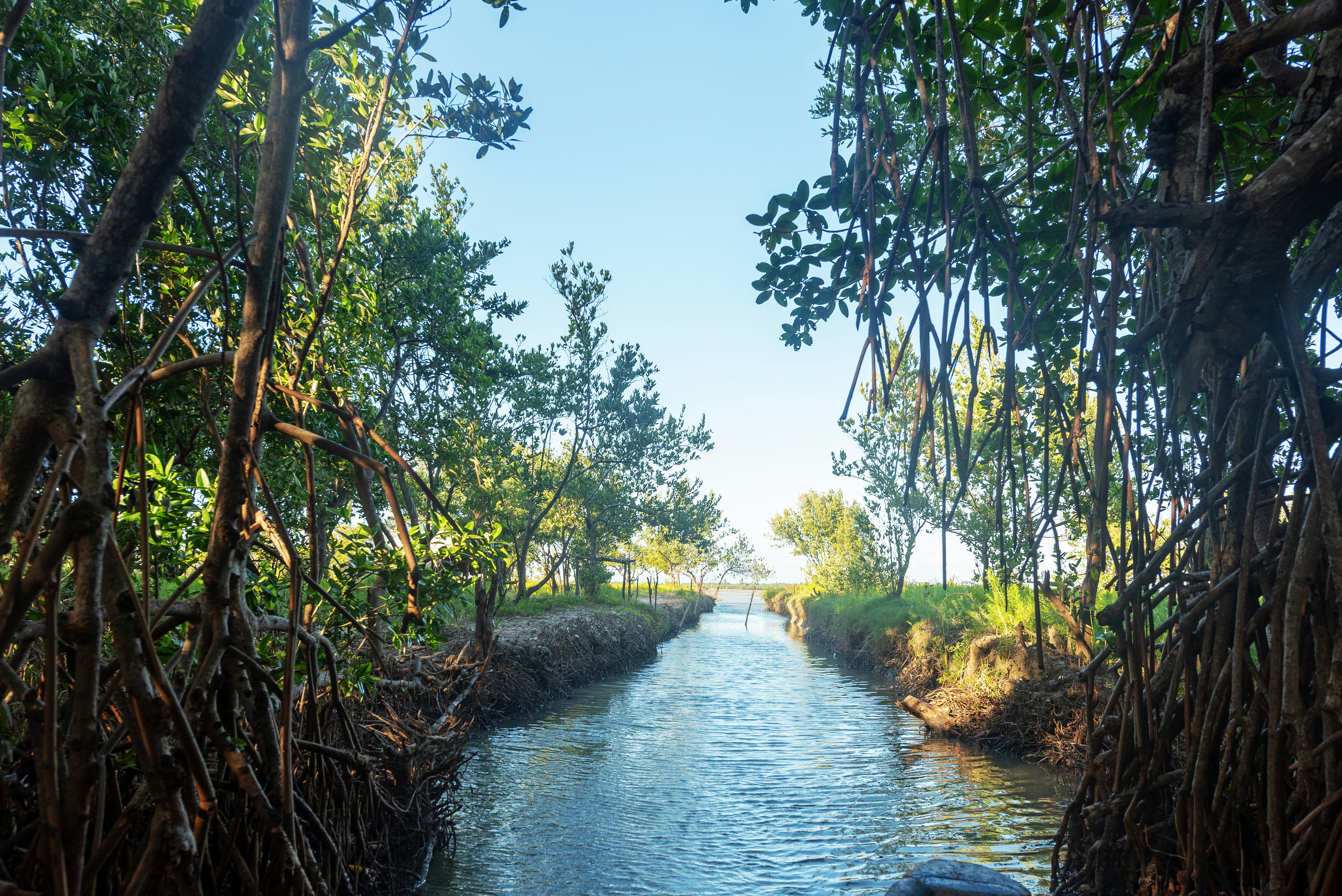 Cuba S River Transformation Came Down To One Key Factor   Bd4c15d1 137e 4bc9 Af8a 6ade3ded7a96 Getty 1248269851 