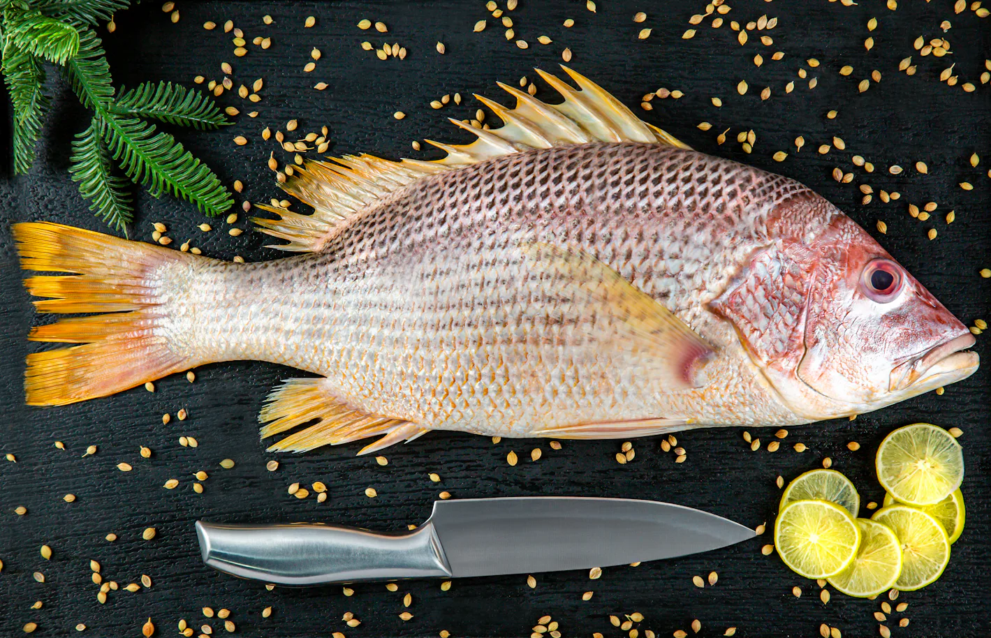 These perfect T-shirts make the case that all fish look zooted