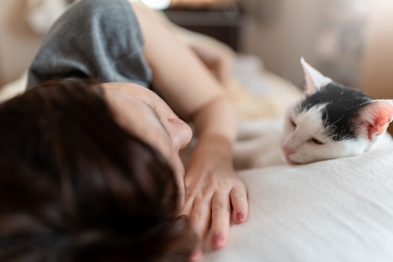 A woman sleeps with a cat in the bed. Recurring dreams activate particular parts of the brain.