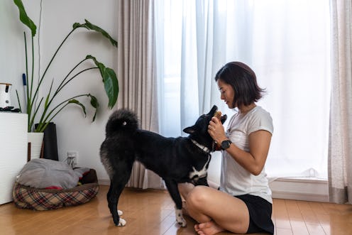 A woman pets her dog inside. If you're indoors, here's what you need to know about your risk of coro...