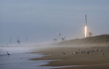 SpaceX's Falcon 9 rocket taking off.