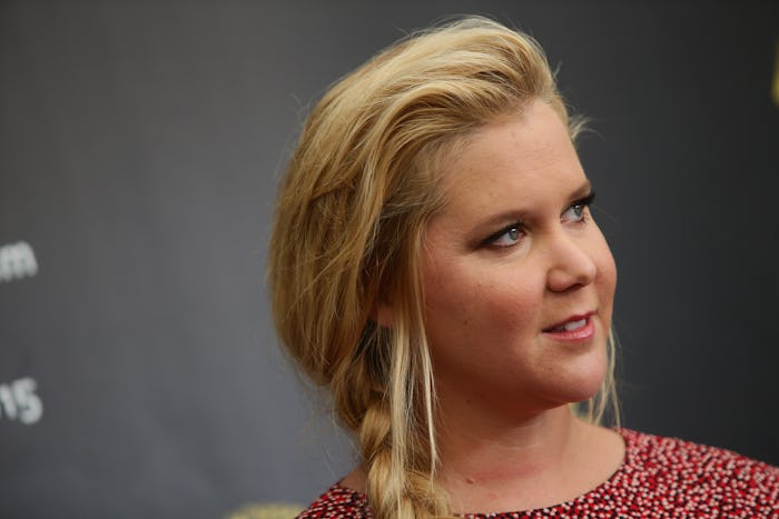 In a new interview with NBC Sunday, comedian Amy Schumer opened up about her struggles with IVF and ...
