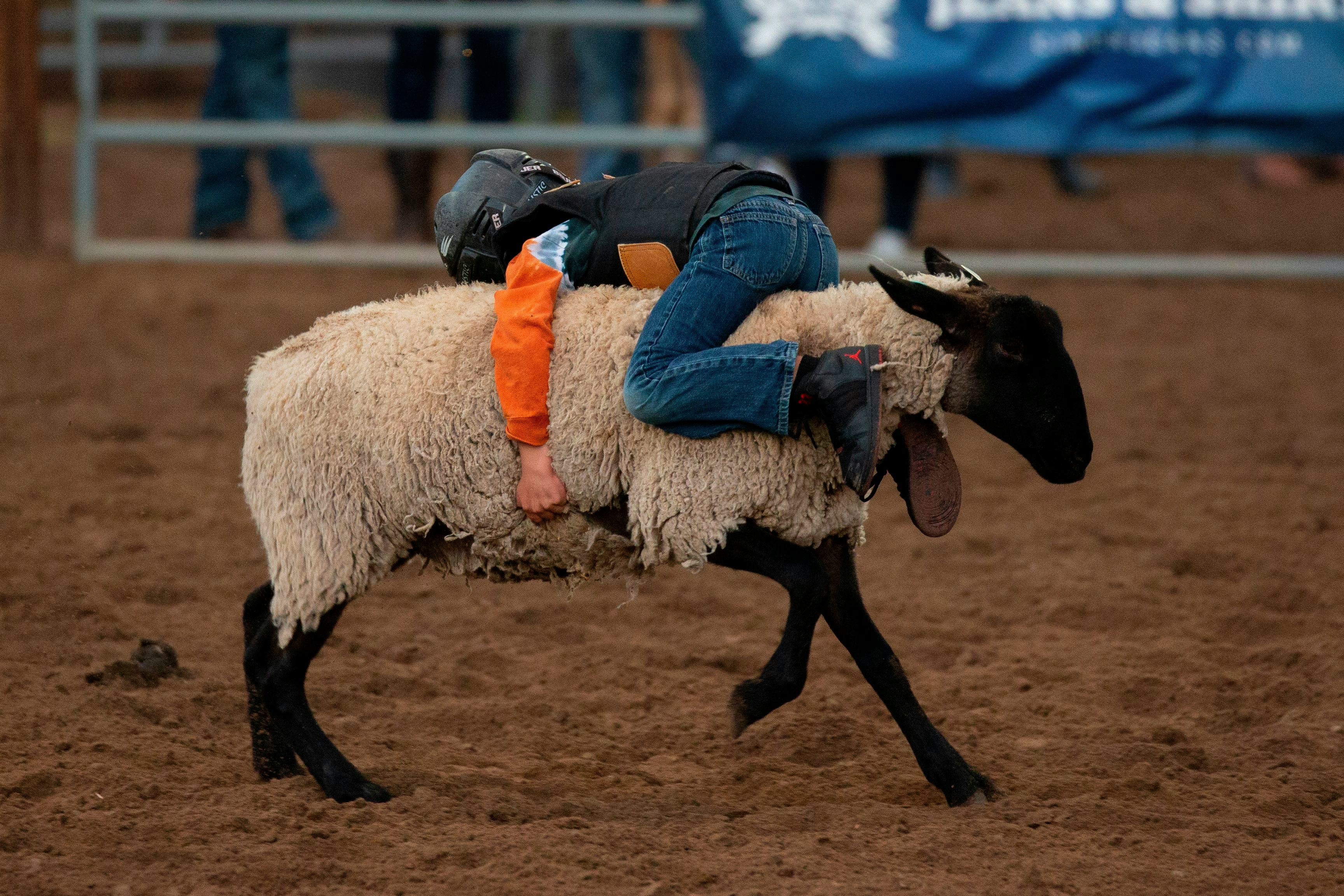 10 sports you didn't know were sports