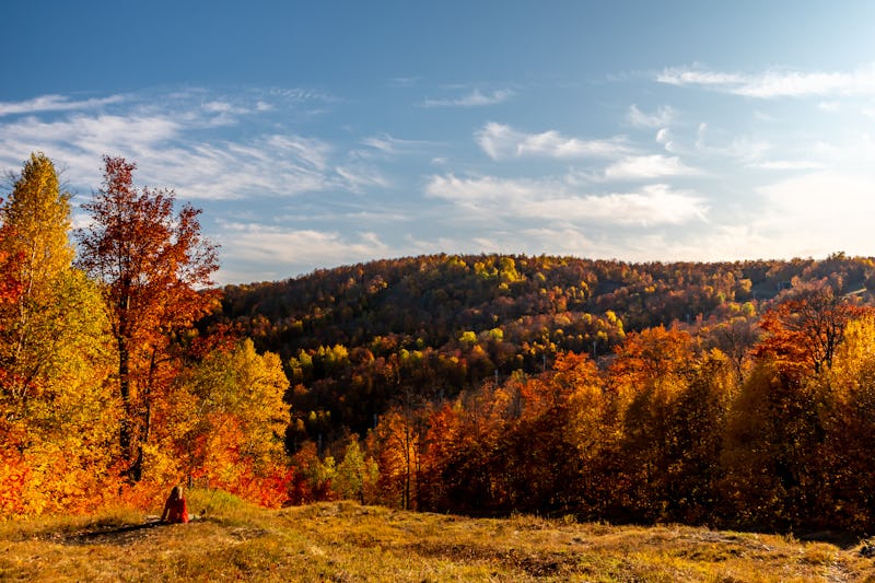 seasons, fall, autumn