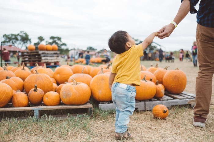 Experts say certain fall activities are safe when you follow guidelines like masks and social distan...