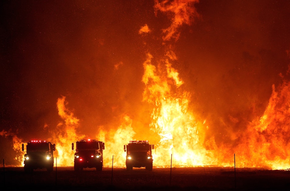 После сильного пожара. Лесные пожары в Калифорнии 2020. Пожар. Крупный пожар. Огромный пожар.