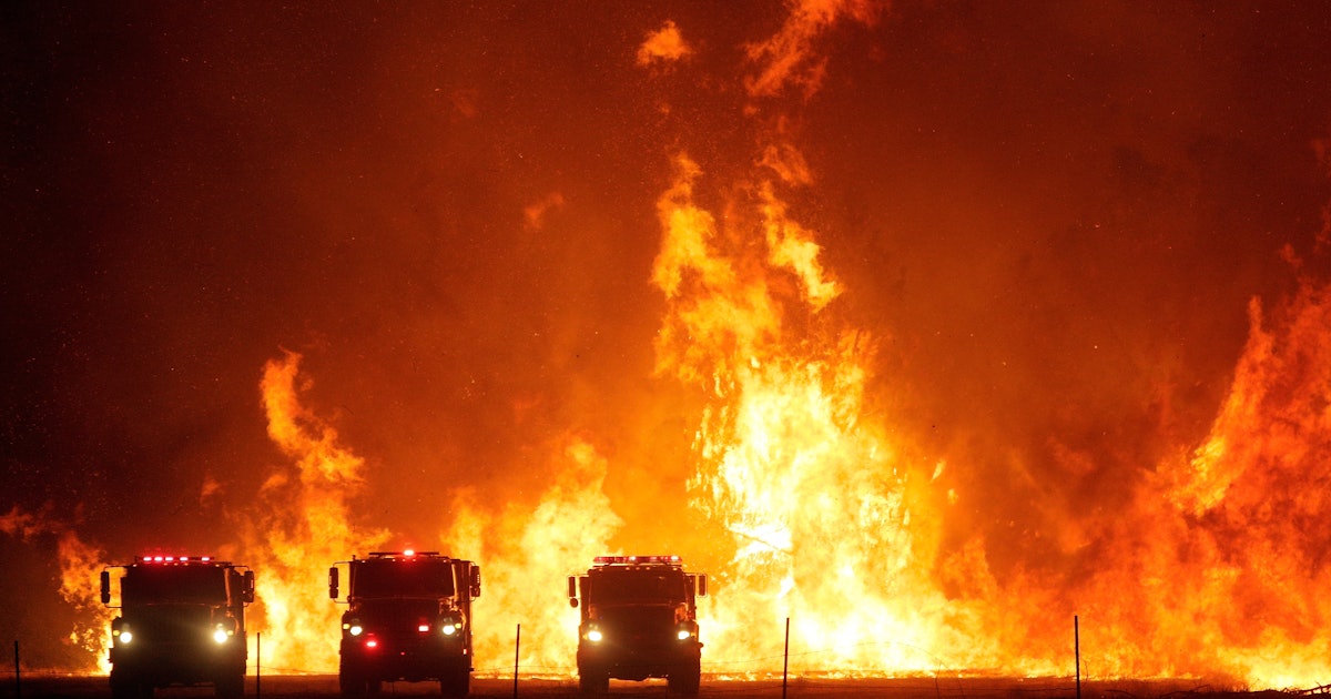 После сильного пожара. Лесные пожары в Калифорнии 2020. Пожар. Крупный пожар. Огромный пожар.