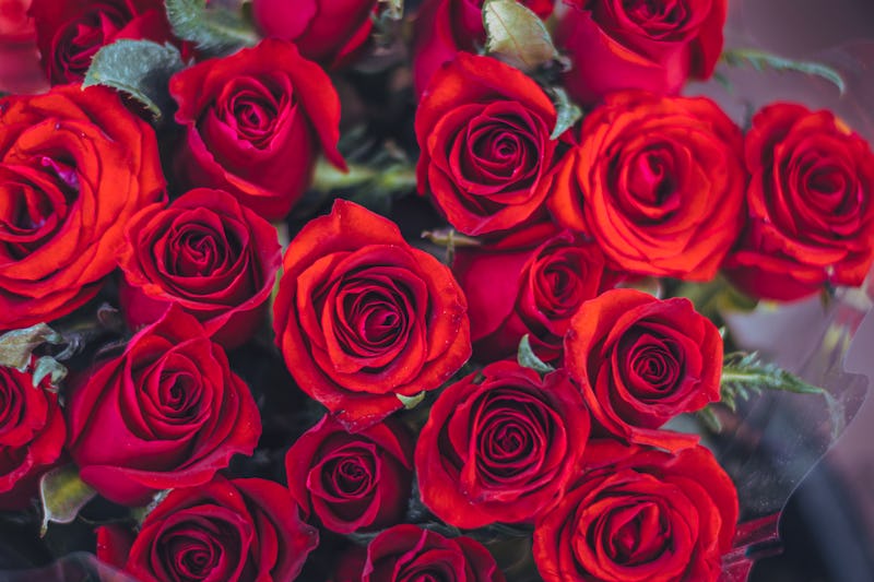 16 Romantic Valentine S Day Quotes That Are Mushy In The Best Way Possible 16 Romantic Valentine S Day Quotes That Are Mushy In The Best Way Possible