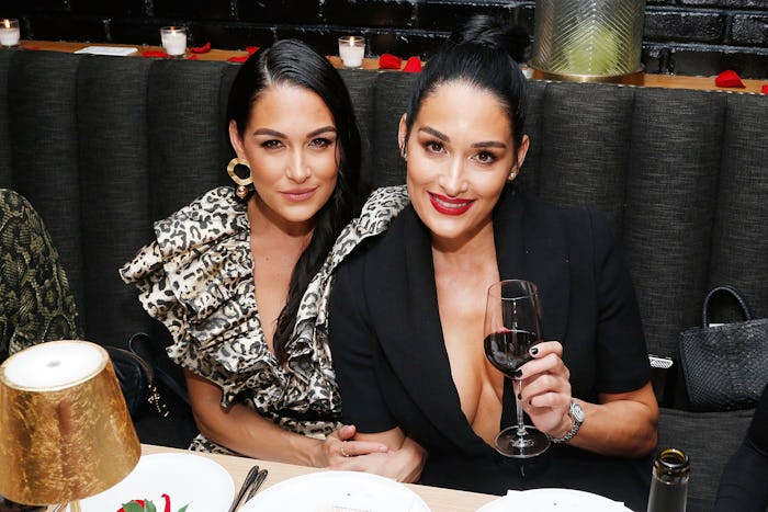 Brie and Nikki Bella gave birth to boys one day apart.