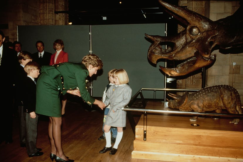 Prince Harry loves dinosaurs