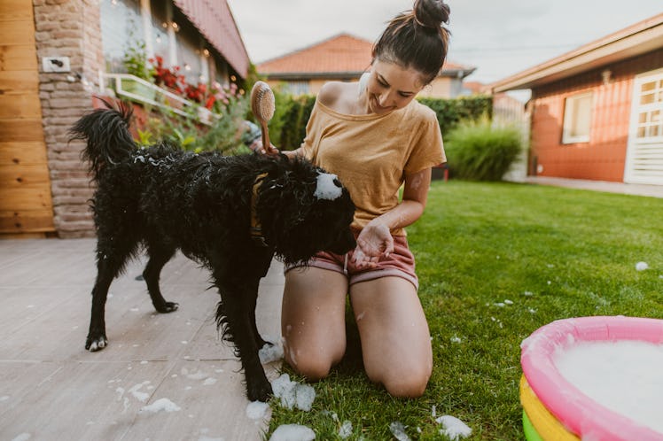 A woman gives her dog a bath in the backyard. 