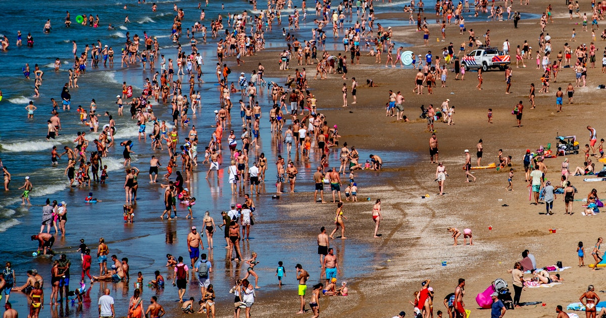 Climate change will kill more people than all infectious diseases combined, new study says