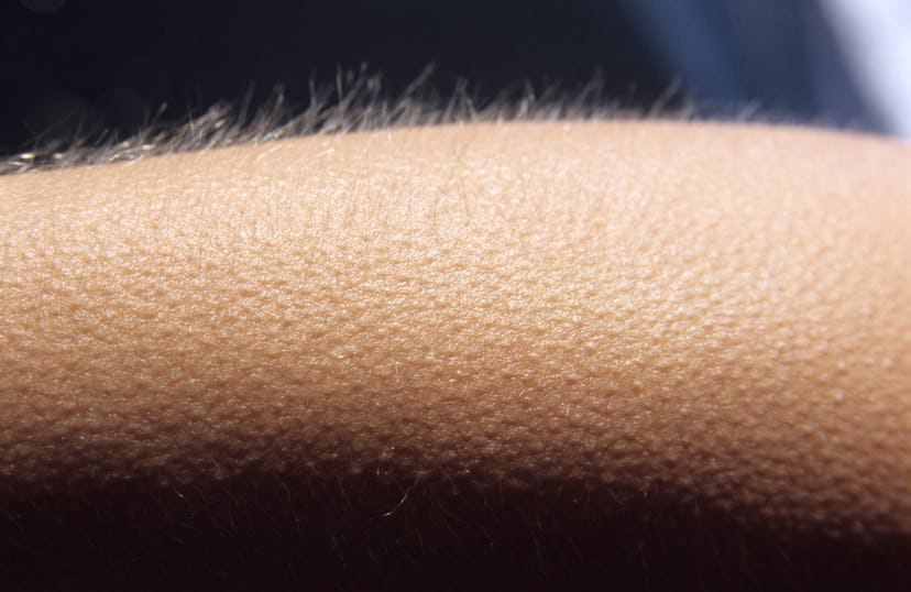 Goosebumps close up. Here's what happens in your brain when you get goosebumps.