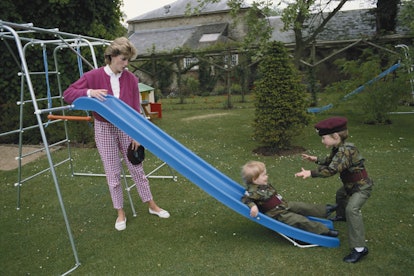 William and Harry play on the slide