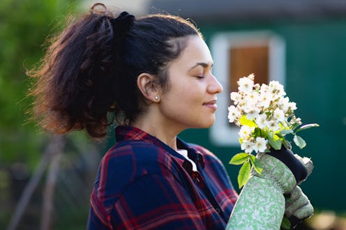 garden, flowers