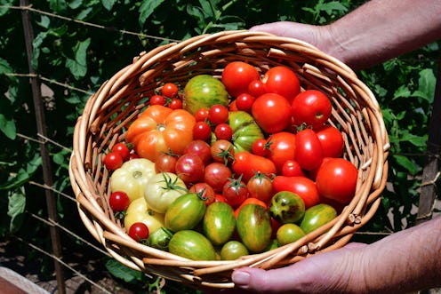 vegetables, plants, food