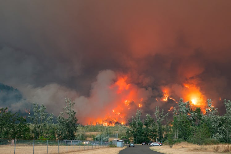Here's how to help California, Oregon, and Washington wildfire victims as the fires continue.