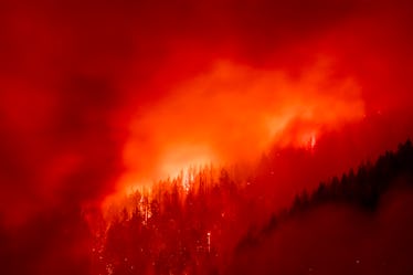 Here's how to help wildfire victims in California, Oregon, and Washington as the fires continue.