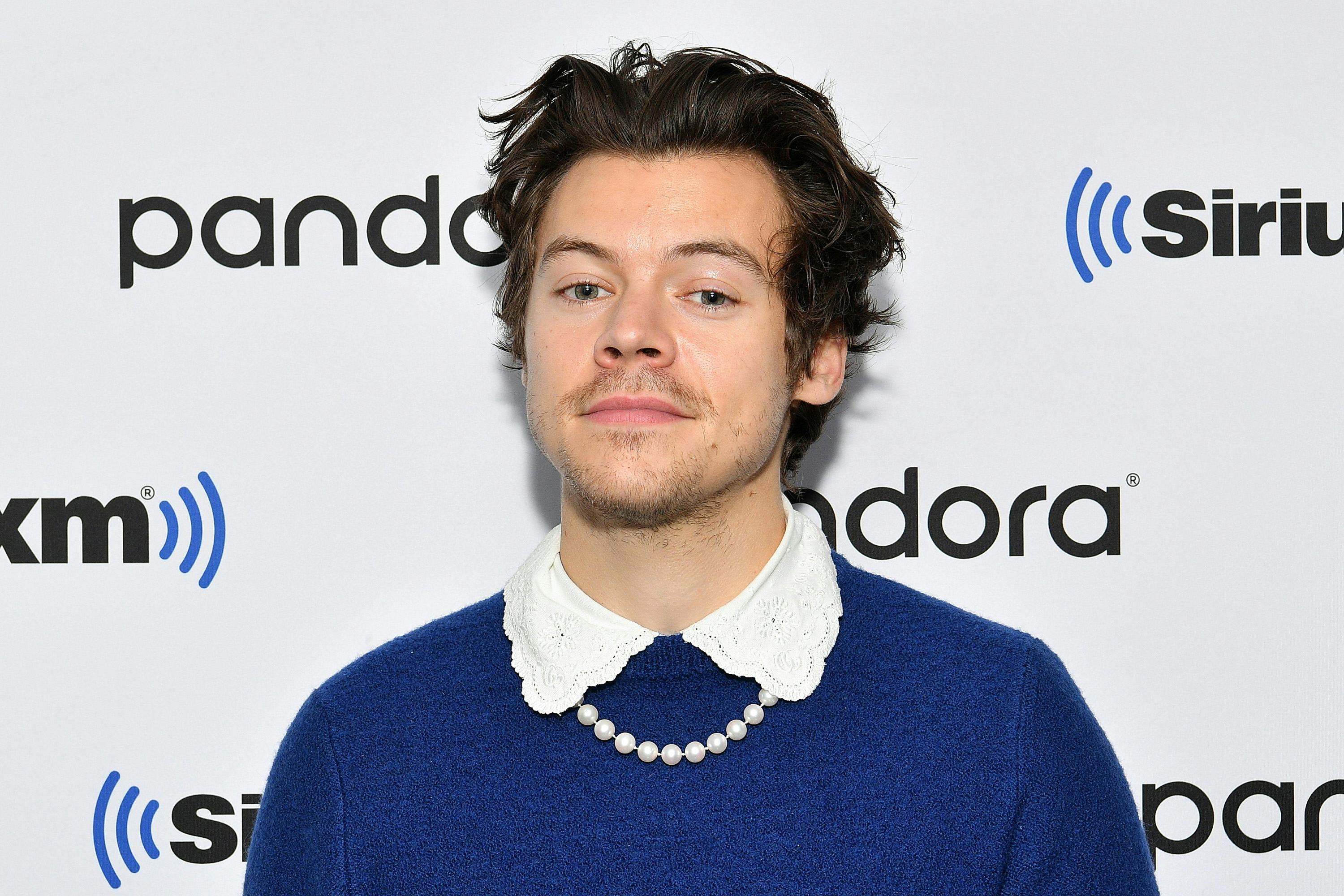 Harry Styles Dyed His Hair For A Movie Role, According To Fans