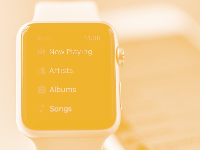 Apple Watch displaying music playback controls.