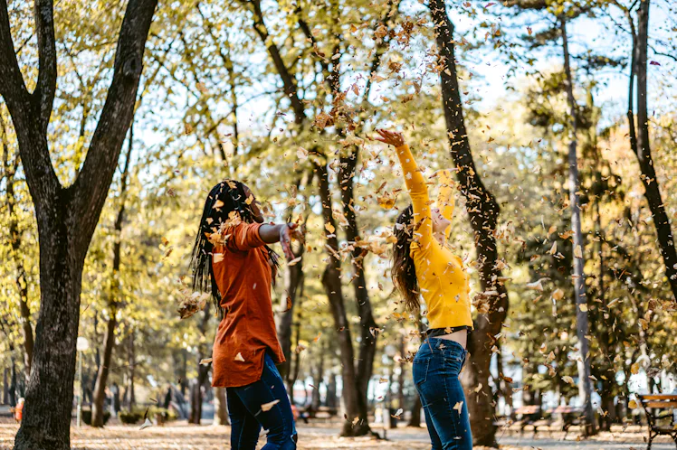 Fall Friends Talking 85 Group Chat Names For Fall & Spilling The (Chai) Tea
