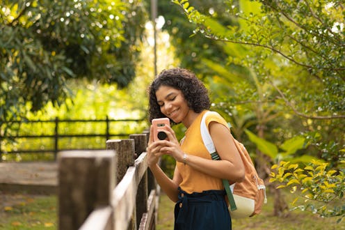 picture, phone, nature