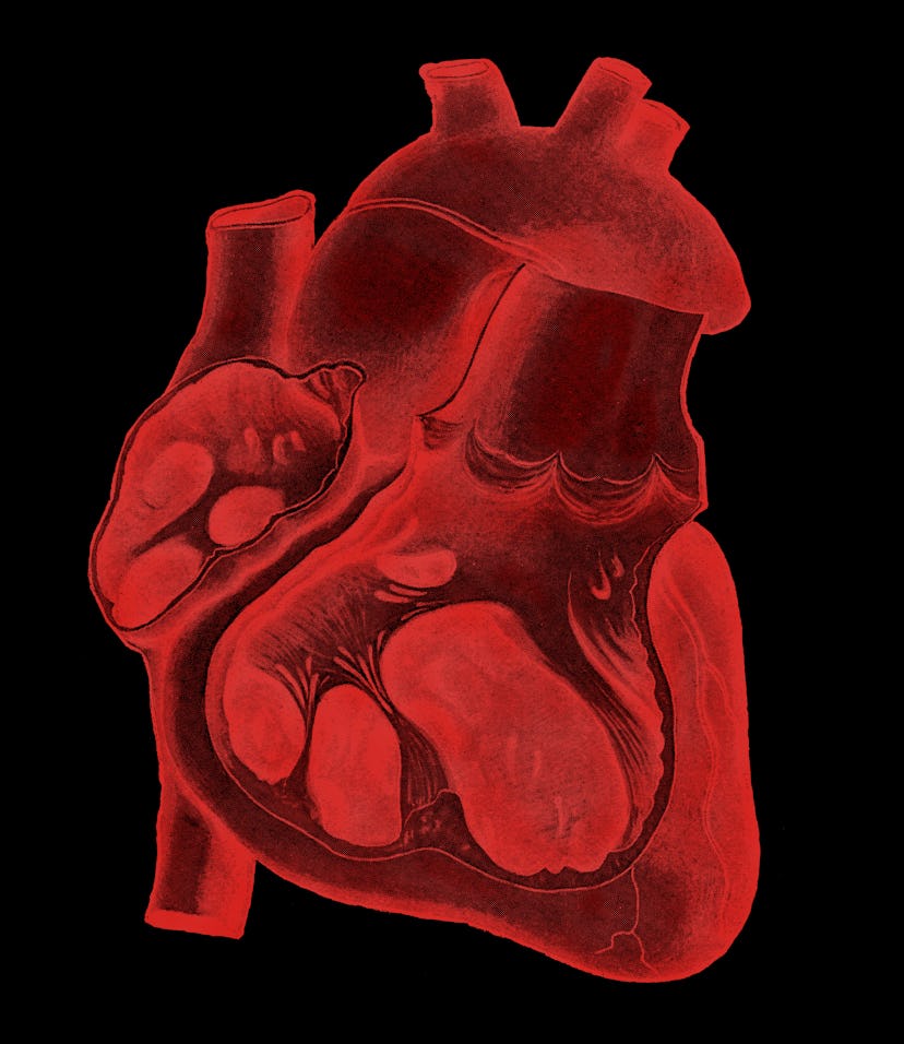 A diagram of a human heart in black and red.