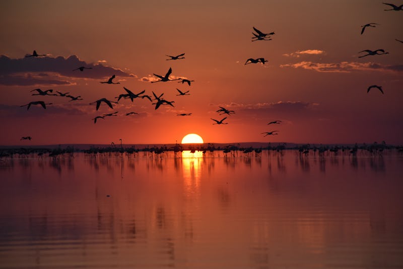 Daylight Savings Should Be Abolished, Experts Say