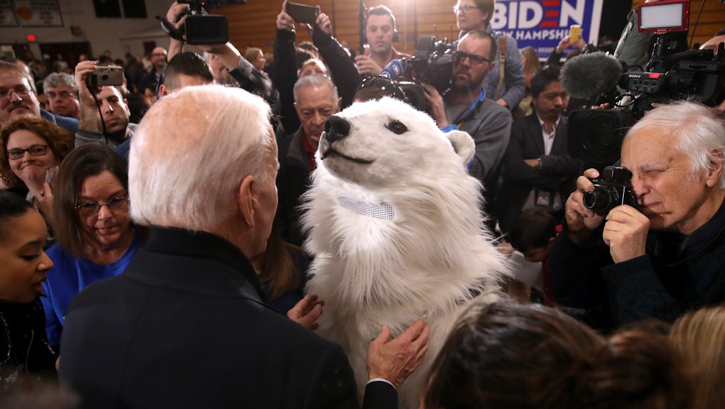 Joe Biden S Environmental Record From 1973 To Today