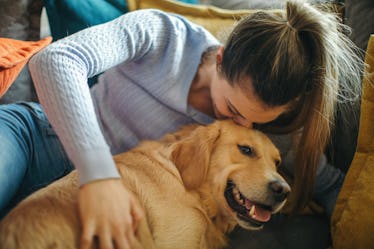 These #ClingyPet TikTok videos include the most needy pups.